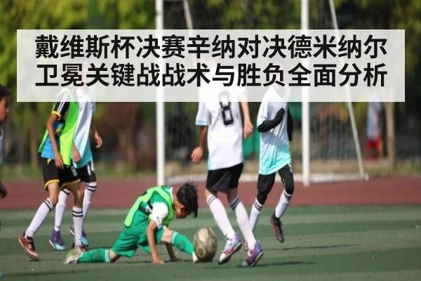 戴维斯杯决赛辛纳对决德米纳尔卫冕关键战战术与胜负全面分析